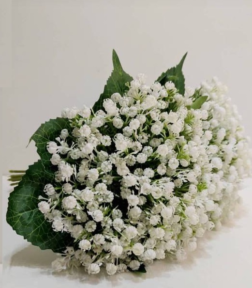 شکوفه عروس ژیپسوفیلا سفید (بوته ای)